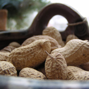 Alergie sau intoleranță?