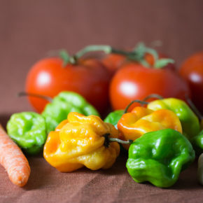 sos probiotic de legume