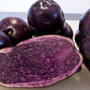 Cartof violet sau cea mai sănătoasă legumă