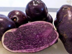cartof violet