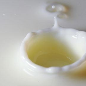 Omletă cu lapte și parmezan